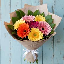 Букет цветов из:  Герберы #REPLACE_PRED# Захарьино