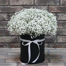 Цветочная композиция из Гипсофила в шляпной коробке в Захарьино